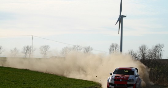 Testy Polo Proto